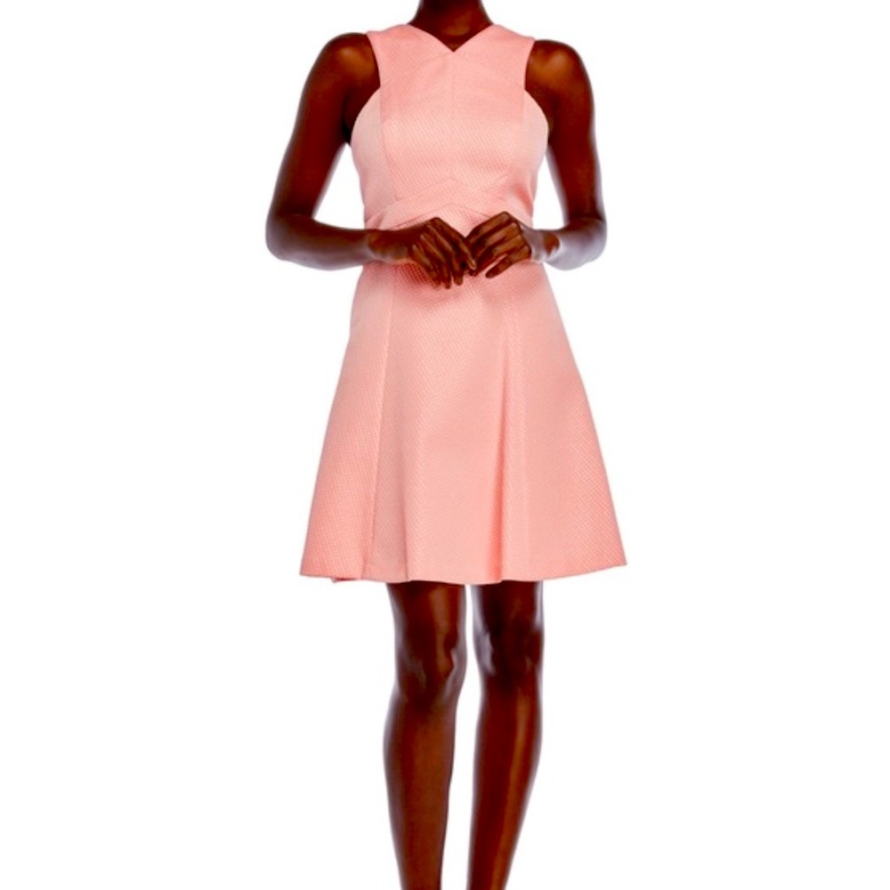 Shoshanna Junelle Fit & Flare Dress